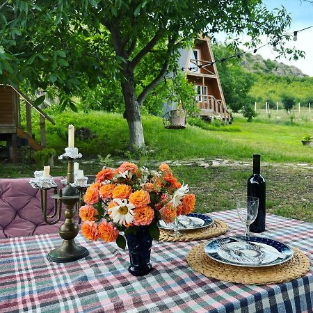 Teo'S Cottages Dedoplis Tskaro 外观 照片